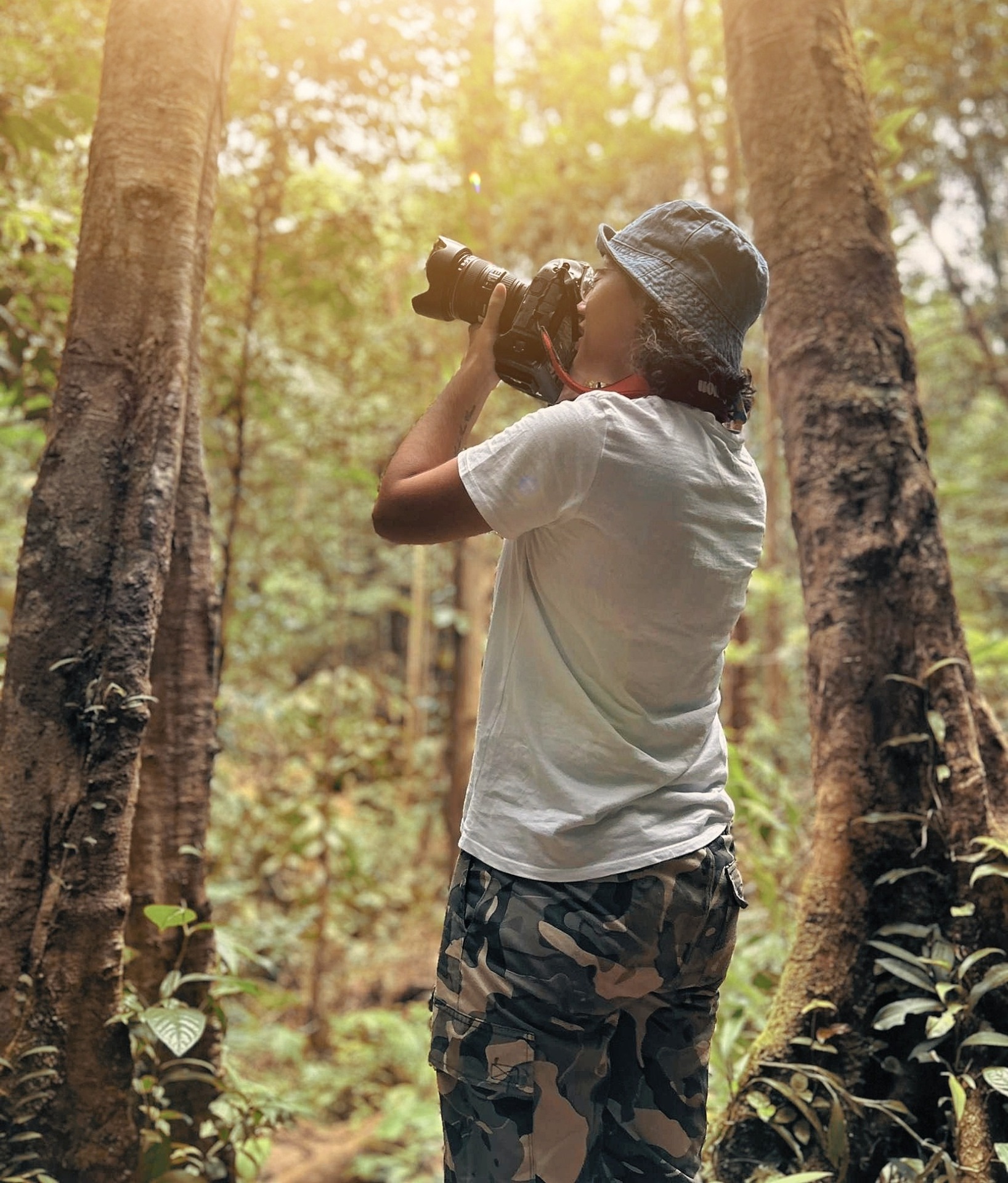 Au sentier Montagne des singes, Kourou, Guyane française